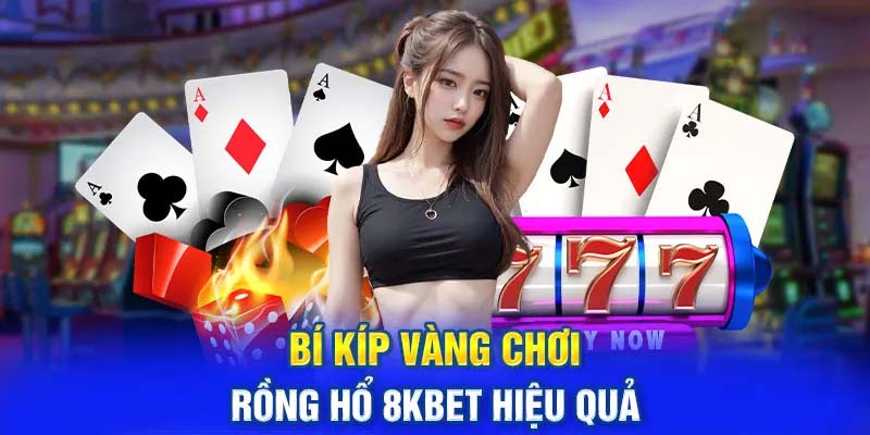 Lưu ý khi tham gia Rồng Hổ